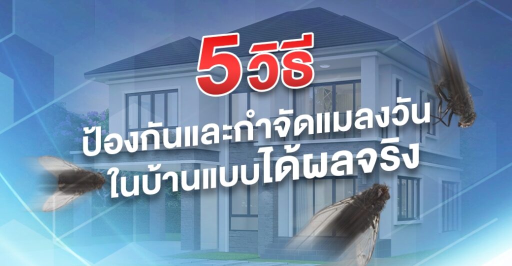 5 วิธีป้องกันและกำจัดแมลงวัน