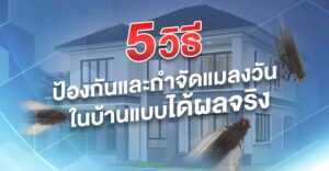 5 วิธีป้องกันและกำจัดแมลงวัน