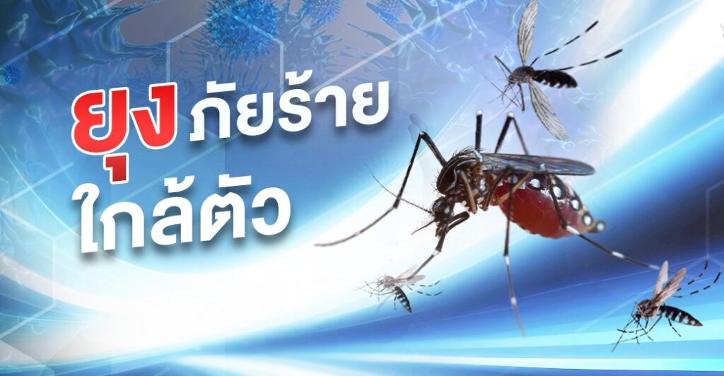 ยุงภัยร้ายใกล้ตัว